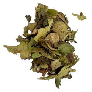Guizhou (White) - Hot 16 oz