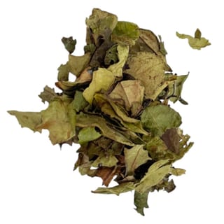 Guizhou (White) - Hot 12 oz